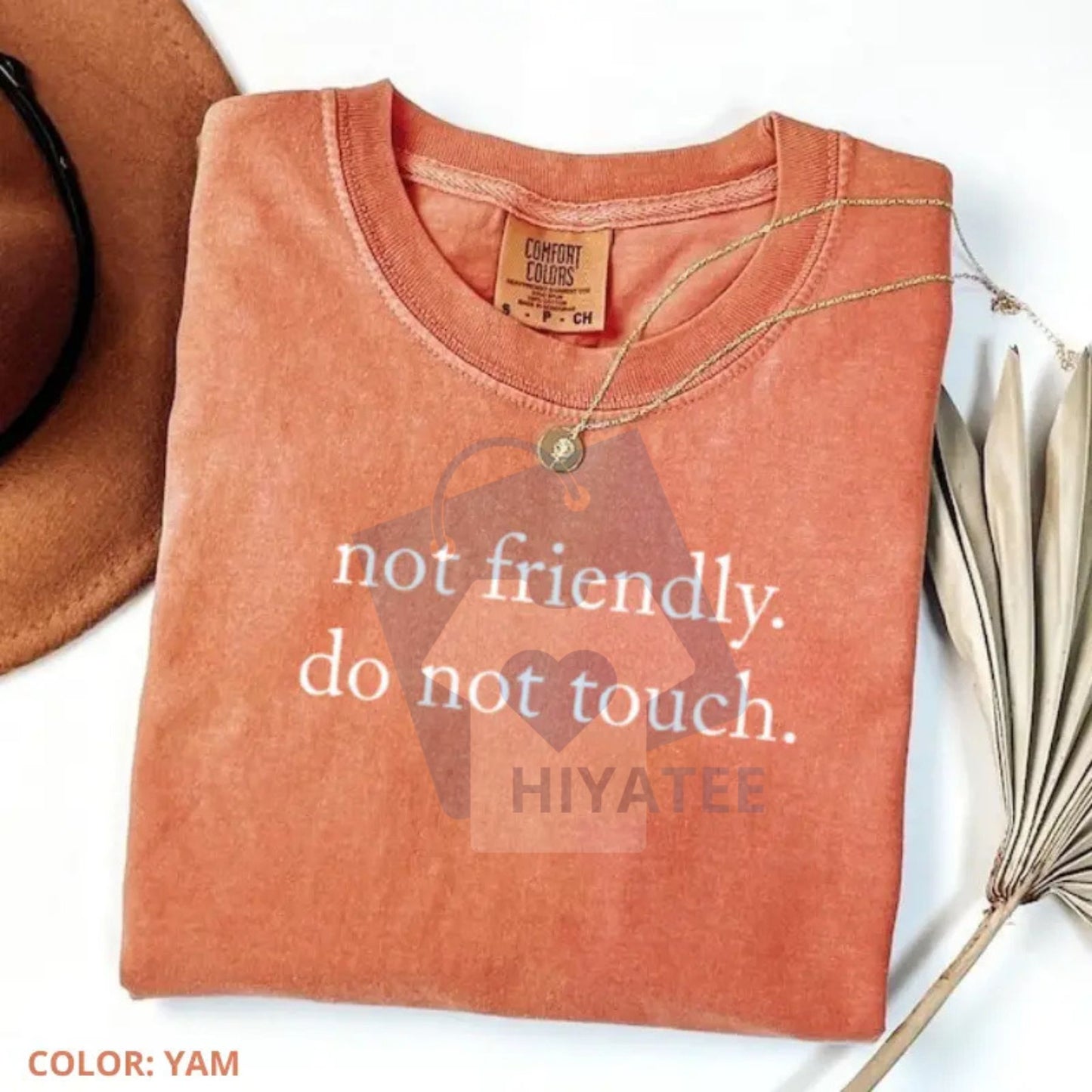 Comfort Colors "Not Friendly Do Not Touch" T-Shirt – Sarcastic Quote Tee, Funny Adult Humor Graphic T-shirt, Trendy Gift